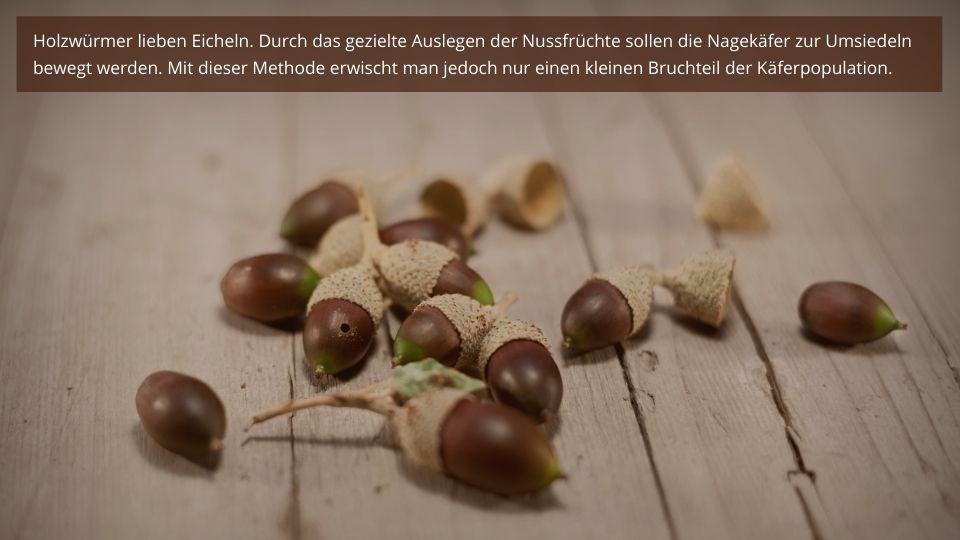 glanzmispel red robin bauhaus Purgrün Red-Robin-Dünger 1 kg main image 0